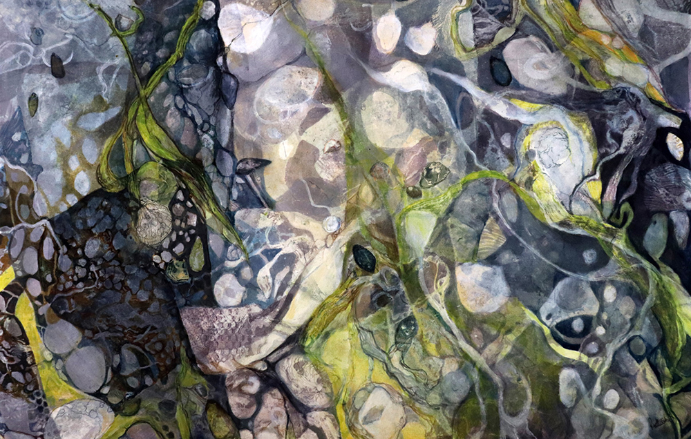 Sea Kelp and Shells