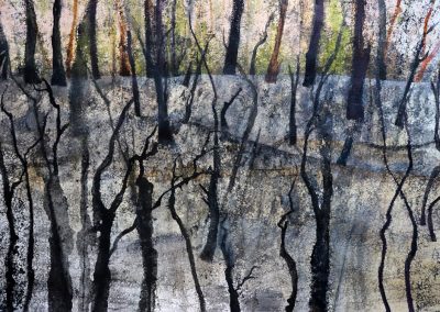 Ruth Thomas, Charcoal Forest